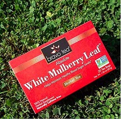 Absolute White Mulberry Leaf Herbal Tea Caffeine Free, 20 Tea Bags