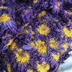 Ceylon Dried Blue Lotus Nymphaea Caerulea 100% Organic Herbal Hand Picked Flower