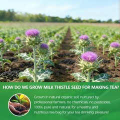 60 Count Premium Milk Thistle Tea Bags 100% Natural Milk Thistle Seed, Liver…