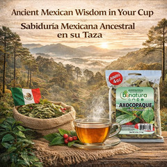Axocopaque Herbal Tea (4 Oz) – 100% Natural Gaultheria Mexican Leaves – Authenti