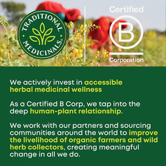Organic Belly Comfort Peppermint Tea, Kosher, Non-Gmo, Caffeine-Free, Compostabl