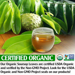KEYXE – USDA Organic Soursop Graviola Leaves Tea 50 Bags. Non-Gmo Verified , 100