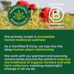 Herbal Digestion Tea Peppermint Fennel Ginger Organic Caffeine Free Kosher
