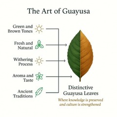 Pacha Guayusa Tea 2LB Organic Loose Leaf 66mg Caffeine Energy Blend