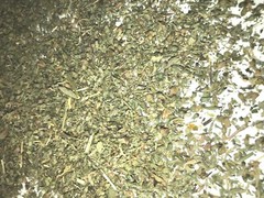 DAMIANA & CATNIP Bulk Herb Leaf Mix Blend Natural Botanical Tea – oz 1 2 4 8 oz