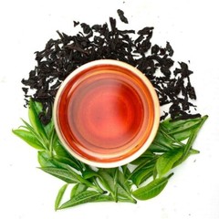 Black Tea Fresh Single Estate Ceylon Orange Pekoe OP – Loose Leaf Tea