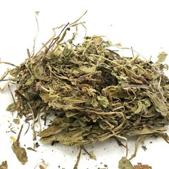 Chinese Herb Dandelion Tea Pu Gong Ying 蒲公英8oz/16oz