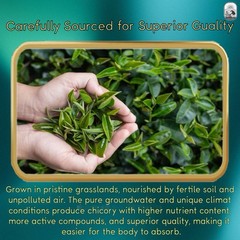 Winter SALE Chicory And Gardenia Tea Relax Tea Herbal Tea Body Support