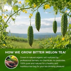 Natural Bitter Melon tea bags 120g. 60 Tea Bags,Natural Healthy Herbal Tea.No…