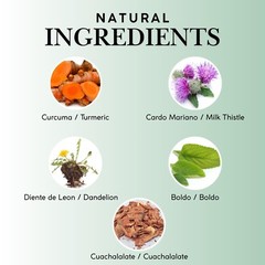 Higasan #1 Liver Detox Tea – Boldo, Diente de León, Curcuma & Cardo Mariano TEA