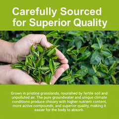 Relaxing Yoga Herbal Tea Chicory Gardenia Caffeine-Free Kidney Support