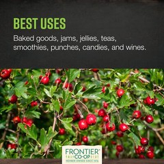 Organic Hawthorn Berries 1 Pound Bulk Tea and Baking Use Non Irradiated Kosher