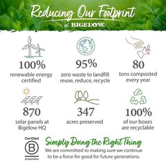 Bigelow Premium Organic Green Tea 140 Count Bags Healthy