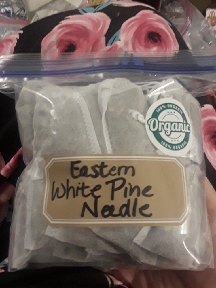10 Pc LOT:BUY 3 GET 1 FREE Organic EASTERN WHITE Pine Needle Tea Bags Fresh Tree