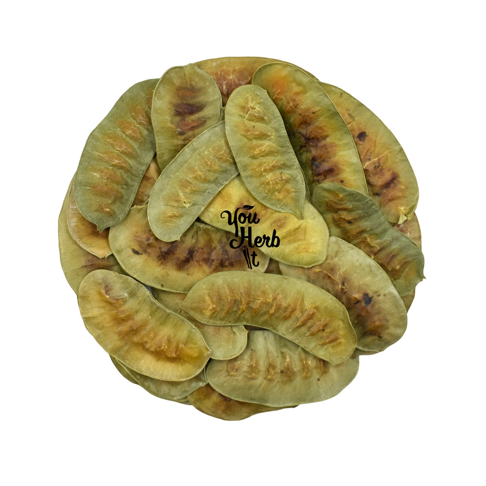 Senna Pods Handpicked Loose Herbal Tea 300g-5kg – Senna Alexandrina