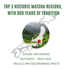 Ceremonial Matcha 50g SAMPLE- JAPAN – 100% First Flush BESTSELLER FOR CAFE in US