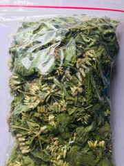 Calea Zacatechichi Mexican Dream Herb 100% Organic Ceylon Herbal Tea