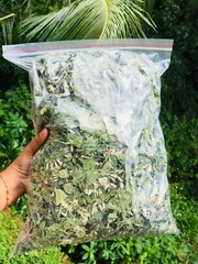 Calea Zacatechichi Mexican Dream Herb Lucid Dream Pure Dried Leaves Herbal Tea
