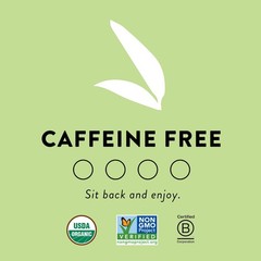 Choice Organics Mint Sage Tea 16 Count Caffeine Free Organic Herbal Tea Bags