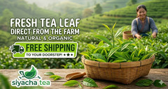 Assam CTC 2nd Flush Tea 2026 Fresh Salkathoni High Grown Trustea Certified Malty