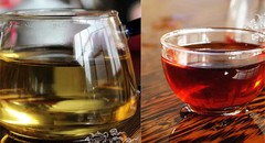 Natural Puerh Tea for Energy 10 Pcs 50g Herbal Drink Women Men