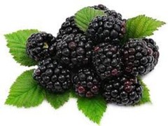 Blackberry Handmade 8oz flavored China black leaf tea