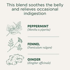 Herbal Digestion Tea Peppermint Fennel Ginger Organic Caffeine Free Kosher