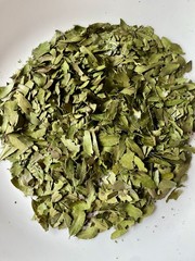 Bulk Yaupon Holly Tea – 4 Oz. Best Price