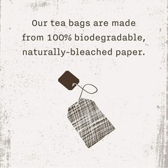 Caffeine-Free Herbal Tea Bags – Allegro Organic Peaceful Slumber, 20 Count