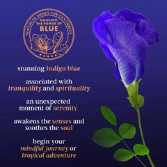Bigelow Butterfly Pea Flower Sapphire Bay, Herbal Tea, Tea Bags, 18 Count