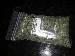 1 Cup Air Dried Broadleaf Plantain(whole plant); For Herbal Tea/Tincture/Salve.