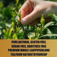 PiPi Organic Oolong Tea Bags – Whole Leaf, 20 Bags – Cortisol & Calming Tea