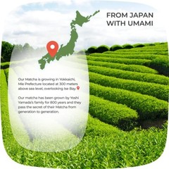 Premium Culinary Grade Organic Japanese Matcha Green Tea Powder 1.1 lbs