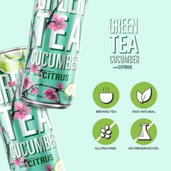 Green Tea with Cucumber and Citrus – Big Can, 22 Fl Oz (Pack of 12)
