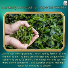Vitals Herb Original Chicory And Gardenia Herbal Tea Kidney Support Tea