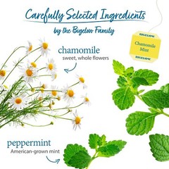 Bigelow Chamomile Mint Herbal Tea 120 Tea Bags Individually Wrapped