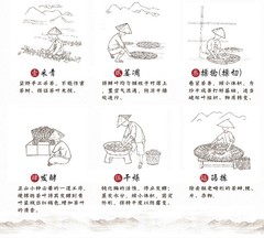 High Mount Oolong Tea Alishan Milk Oolong Tea Jinxuan Granules Oolong Tea 150g