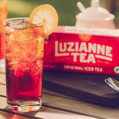 Unsweetened Iced Tea Bags, Family Size 24ct – Organic Black Tea Refreshment