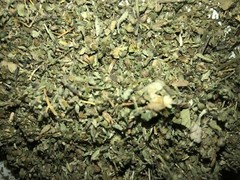 DAMIANA & CATNIP Bulk Herb Leaf Mix Blend Natural Botanical Tea – oz 1 2 4 8 oz