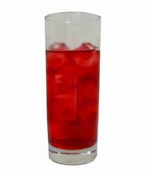 Cranberry Apple Fruit Herbal Tea Good Iced Tea loose Leaf Tea Caffeine Free 8 OZ