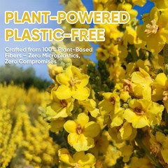 60 Mullein Leaf Tea Bags, From 100% Natural Mullein Leaves for Lungs Health a…