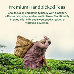 , Assorted Loose Leaf Chai Tea Sampler (10 Flavors, 50+ Servings) | Indian Ex…