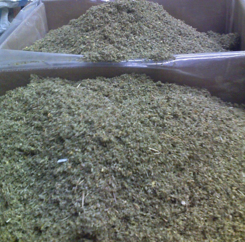 DAMIANA herb tea bulk leaf c/s cut organic tea brew wild crafted WHOLESALE