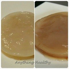 Combo Honey Jun and Kombucha SCOBYs w/starter Probiotic Healthy Fermented drink