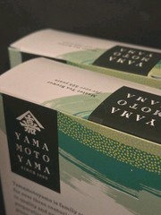 2 Box – Japanese Yamamotoyama Iced Matcha Green Tea Sweetened (24 Packets Total)