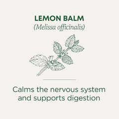 Organic Lemon Balm Tea Bags 16 Count Kosher Non-GMO Caffeine-Free Compostable