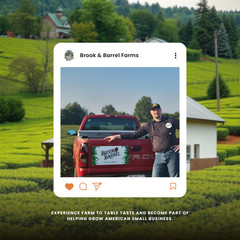 Experience Premium Quality with Brook & Barrel USDA Organic Gunpowder Green Tea