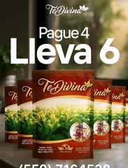 TeDivina Tea & Infusion Bagged 3.2 oz 6 Pack Single Serving Pantry Item