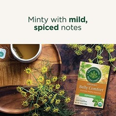 Herbal Digestion Tea Peppermint Fennel Ginger Organic Caffeine Free Kosher