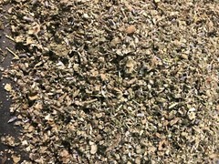 No.31 Mix – Clove Coltsfoot Skullcap Spearmint Mullein Lavender Raspberry Leaf